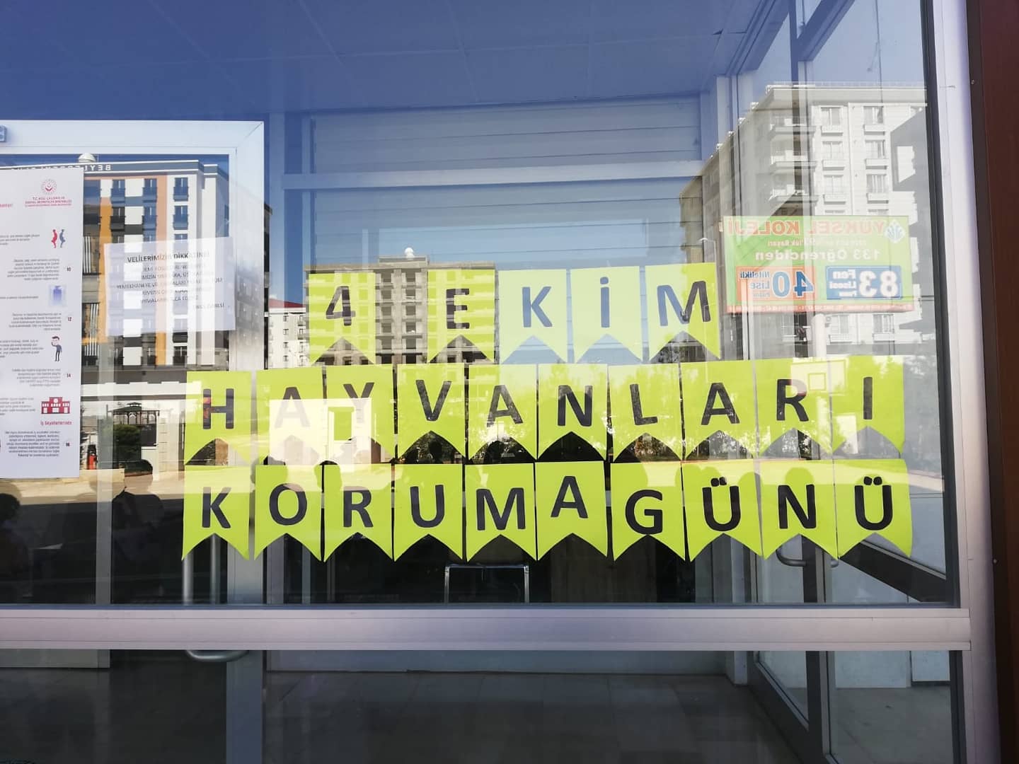 4 Ekim Hayvanları Koruma Günü