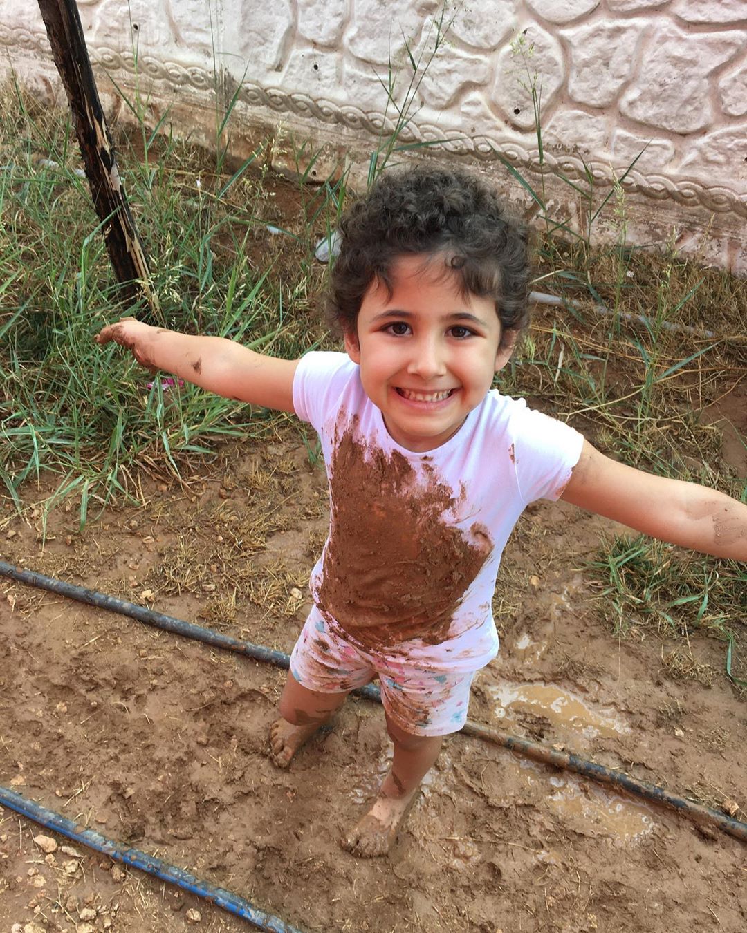 Çalışkan karıncalar Doğanın çocukları